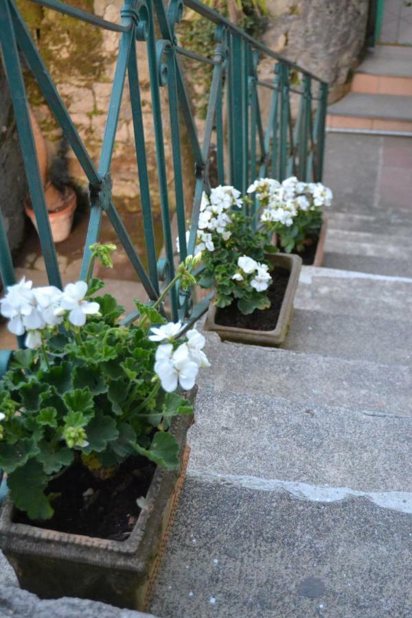 My Home Sorrento Luaran gambar
