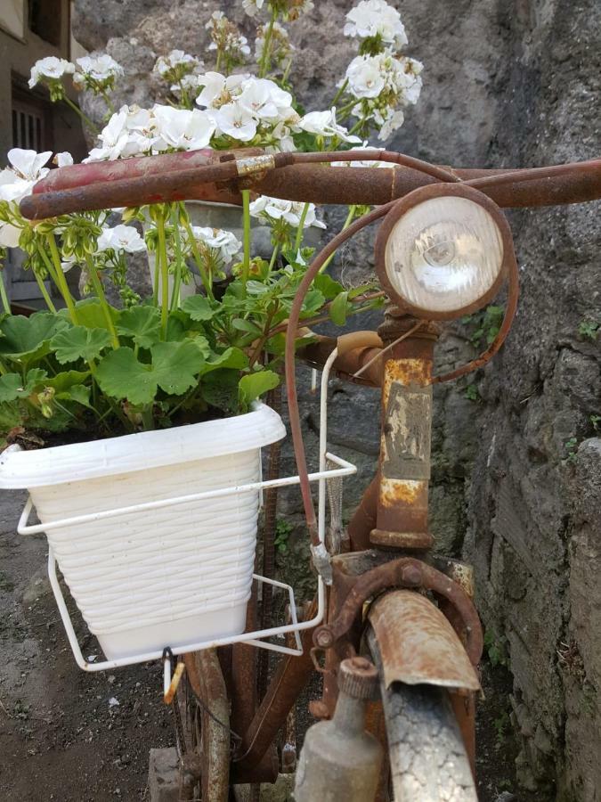 My Home Sorrento Luaran gambar